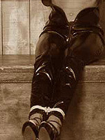 picture from frankiebabe.com